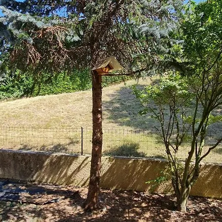 T2 55M² Tout Confort Avec Jardin. Cuisine Et Equipements Neufs. Wifi Tv Parking Balma Exterior foto