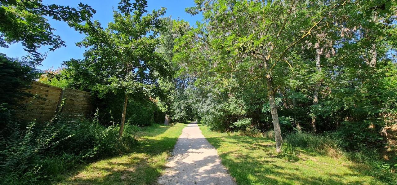 Apartment T2 55m² Confort Avec Jardin. Cuisine Et Equipements Neufs. Wifi Tv Parking Balma